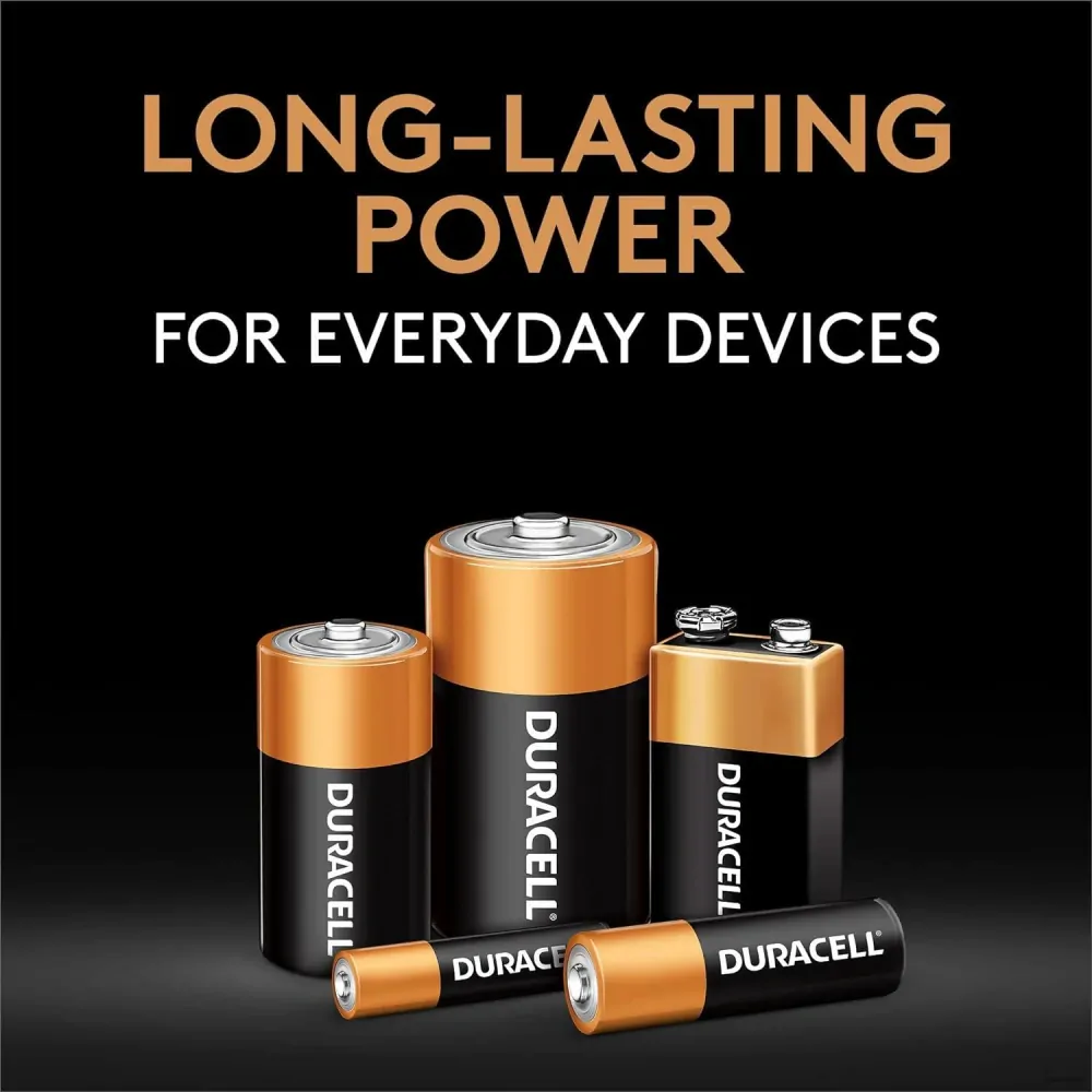 Batéria alkalická, AA (LR6), AA, 1.5V, Duracell, blister, 2-pack, 42301, Basic