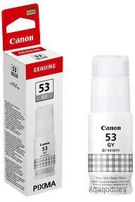 Canon originál ink GI-53 GY, 4708C001, grey, 3700str.