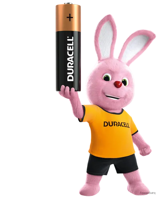 Batéria alkalická, AA (LR6), AA, 1.5V, Duracell, blister, 2-pack, 42301, Basic