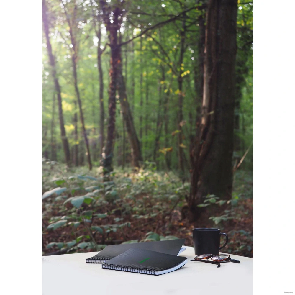 Zápisník Clairefontaine Rhodia Greenbook A5+, štvorčekový, 80 listov