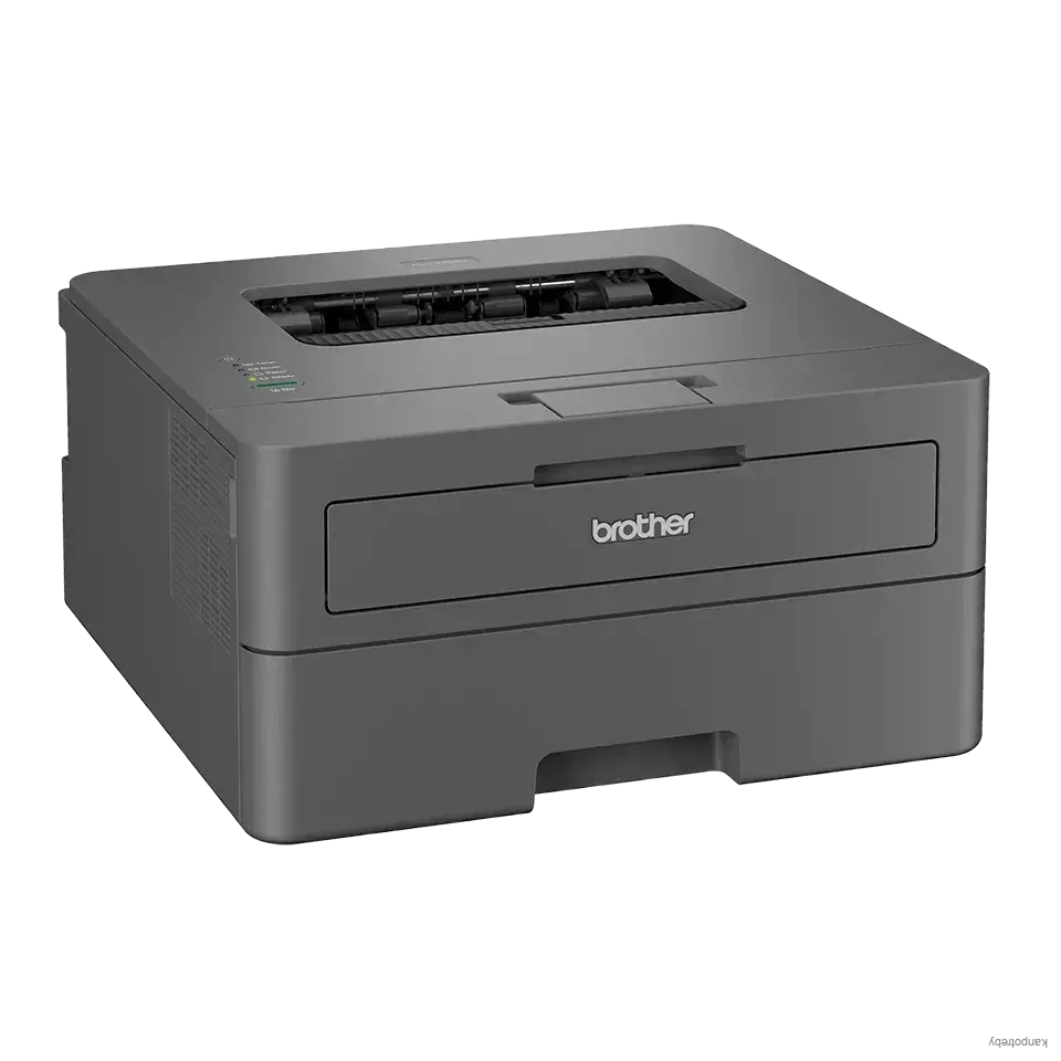 Monochromatická laserová tlačiareň Brother, HL-L2402D