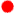 červená
